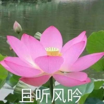 【境内疫情观察】河南郑州全市居民小区（村）实行闭环管理（8月6日）